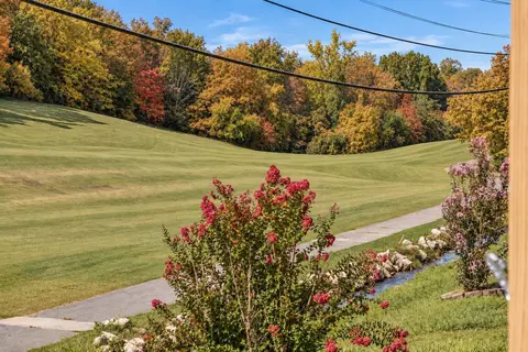 Other - 246 Turnberry Dr #1, Branson, MO 65616 photo 3 of 13