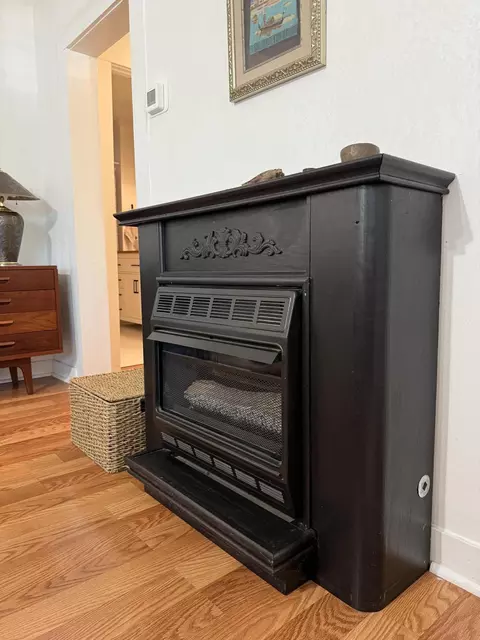 Living - 305 E Webster Ave, Ava, MO 65608 photo 2 of 3
