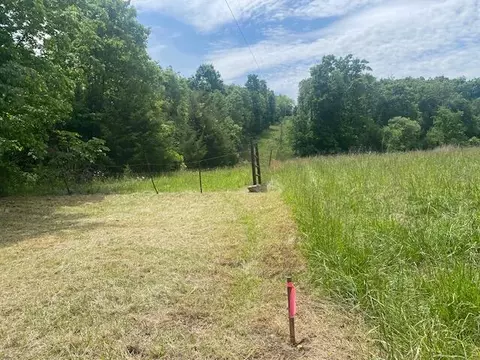 000 Flint Hollow Rd, Seymour, MO 65746