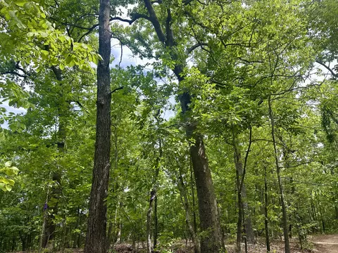 000 Needles Eye Trl, Mammoth Spring, AR 72554 photo 9