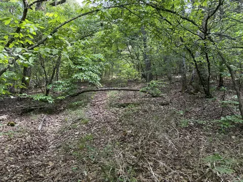 000 Moore Bend Rd, Cedarcreek, MO 65627 photo 6