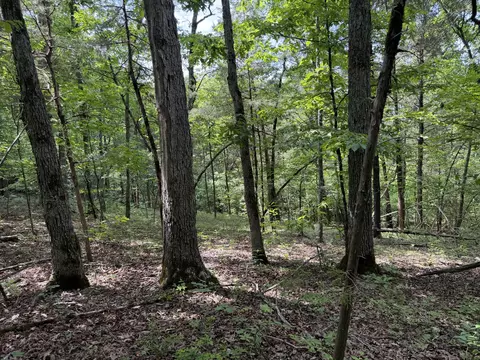 000 Moore Bend Rd, Cedarcreek, MO 65627 photo 3