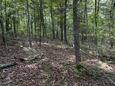 000 Moore Bend Rd, Cedarcreek, MO 65627 photo 5