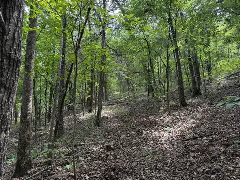 000 Moore Bend Rd, Cedarcreek, MO 65627 photo 8