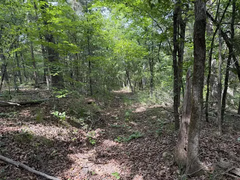 000 Moore Bend Rd, Cedarcreek, MO 65627 photo 4