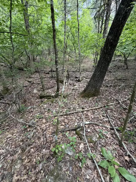 000 Moore Bend Rd, Cedarcreek, MO 65627 photo 16