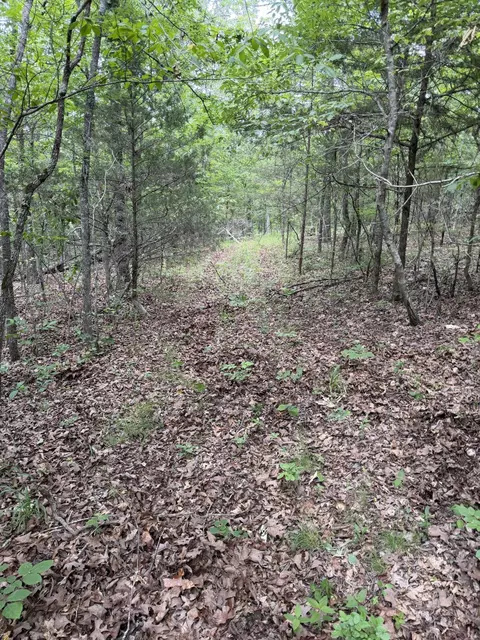 000 Moore Bend Rd, Cedarcreek, MO 65627 photo 20