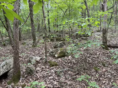 000 Moore Bend Rd, Cedarcreek, MO 65627 photo 18