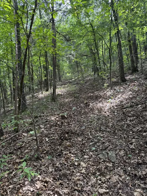 000 Moore Bend Rd, Cedarcreek, MO 65627 photo 15