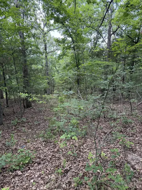 000 Moore Bend Rd, Cedarcreek, MO 65627 photo 19