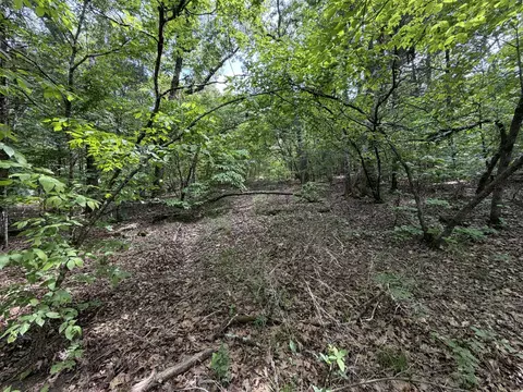 000 Moore Bend Rd, Cedarcreek, MO 65627 photo 7