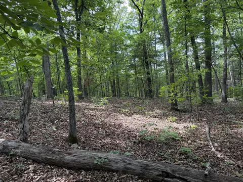 000 Moore Bend Rd, Cedarcreek, MO 65627