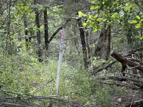 000 Moore Bend Rd, Cedarcreek, MO 65627 photo 9