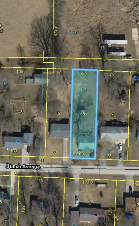 View/Area - 502 Bunch Ave, Ava, MO 65608 photo 1 of 1