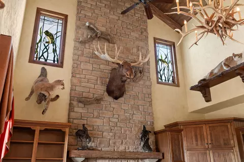 Other - 112 Grand Rdg, Branson, MO 65616 photo 2 of 12