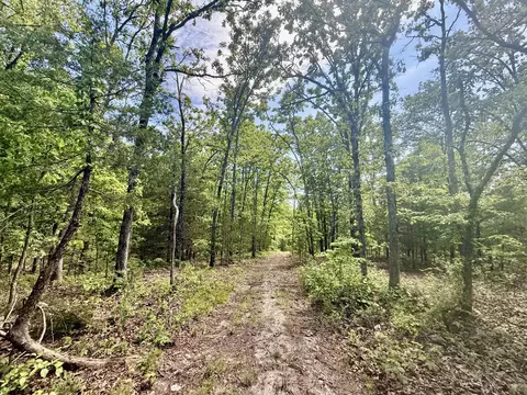 000 Bailey Rd, Licking, MO 65542 photo 21