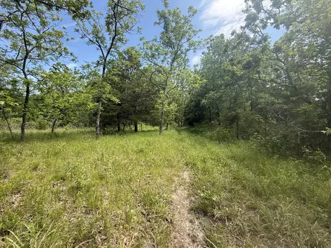 000 Bailey Rd, Licking, MO 65542 photo 30