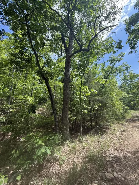 000 Bailey Rd, Licking, MO 65542 photo 20