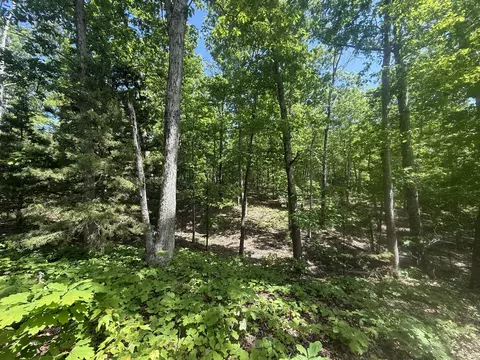 000 Bailey Rd, Licking, MO 65542 photo 29