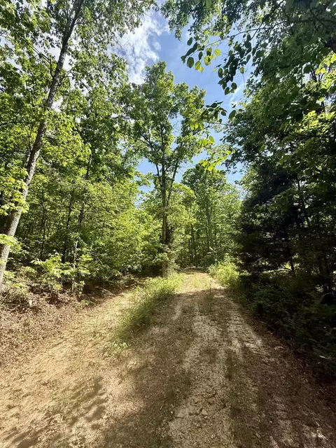 000 Bailey Rd, Licking, MO 65542 photo 13