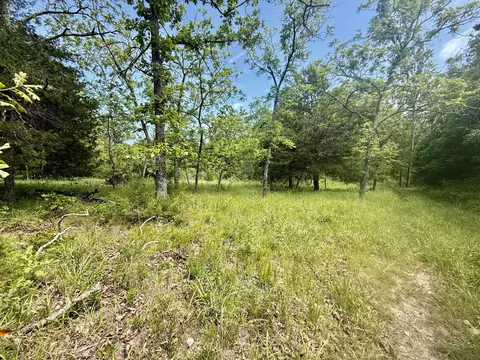 000 Bailey Rd, Licking, MO 65542 photo 33