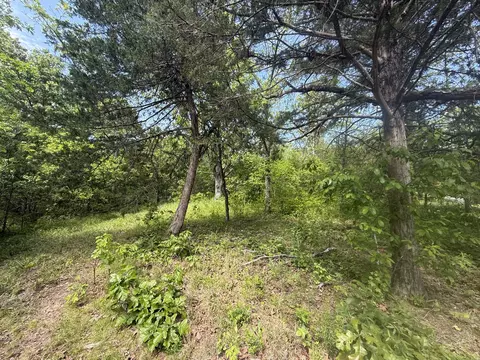 000 Bailey Rd, Licking, MO 65542 photo 32