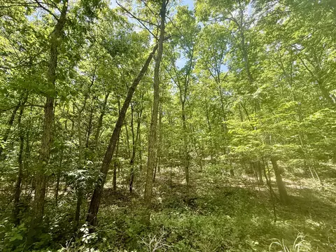 000 Bailey Rd, Licking, MO 65542 photo 14
