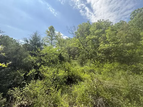 000 Bailey Rd, Licking, MO 65542 photo 4