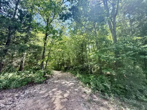 000 Bailey Rd, Licking, MO 65542 photo 2