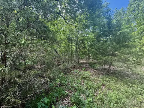 000 Bailey Rd, Licking, MO 65542 photo 18