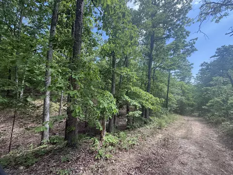 000 Bailey Rd, Licking, MO 65542 photo 15