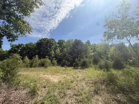 000 Bailey Rd, Licking, MO 65542 photo 3