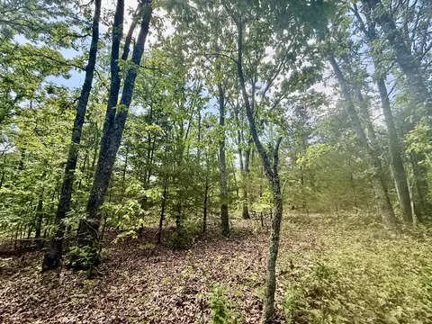 000 Bailey Rd, Licking, MO 65542 photo 22