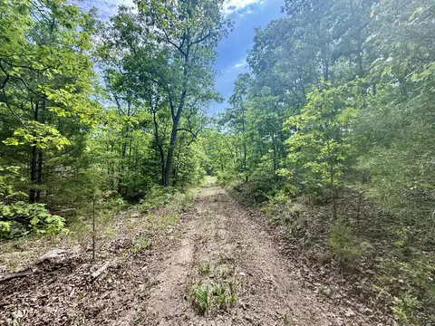 000 Bailey Rd, Licking, MO 65542 photo 23