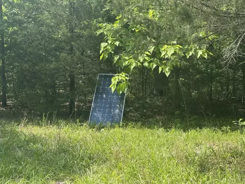 000 Bailey Rd, Licking, MO 65542 photo 7