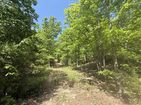 000 Bailey Rd, Licking, MO 65542 photo 19