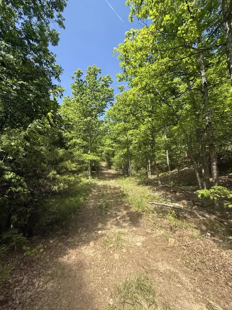 000 Bailey Rd, Licking, MO 65542 photo 16