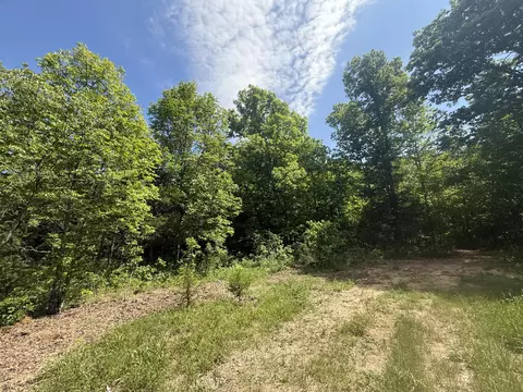 000 Bailey Rd, Licking, MO 65542 photo 12