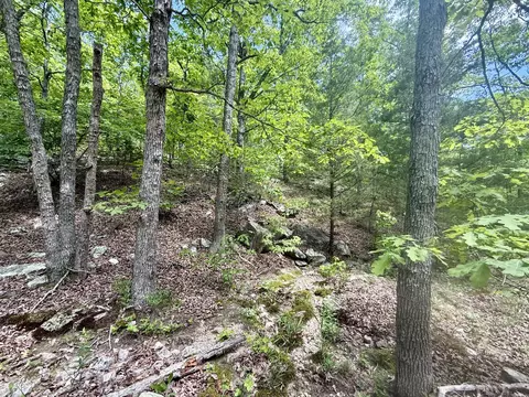 000 Bailey Rd, Licking, MO 65542 photo 24