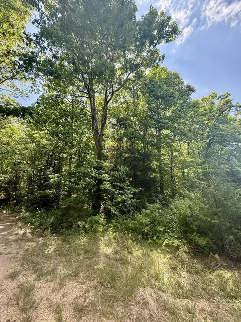 000 Bailey Rd, Licking, MO 65542 photo 5