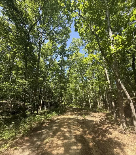000 Bailey Rd, Licking, MO 65542 photo 27