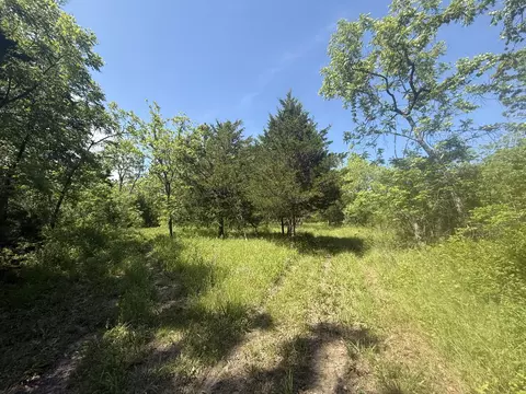 000 Bailey Rd, Licking, MO 65542 photo 28