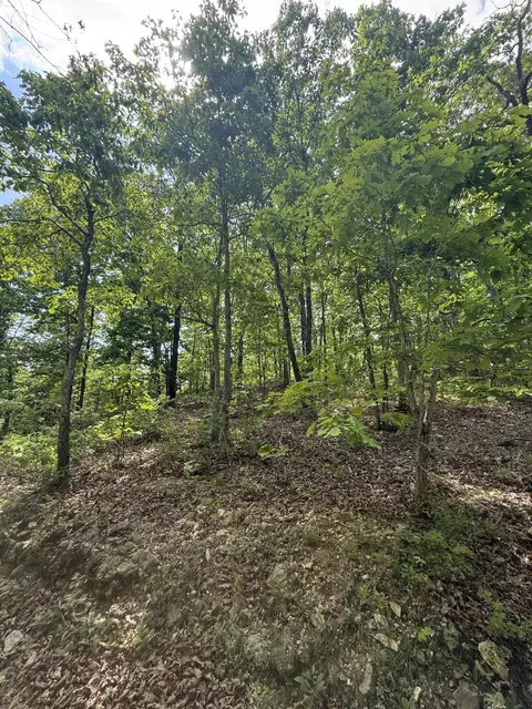 000 Bailey Rd, Licking, MO 65542 photo 17