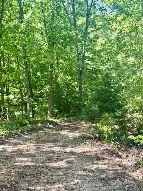 000 Bailey Rd, Licking, MO 65542 photo 25