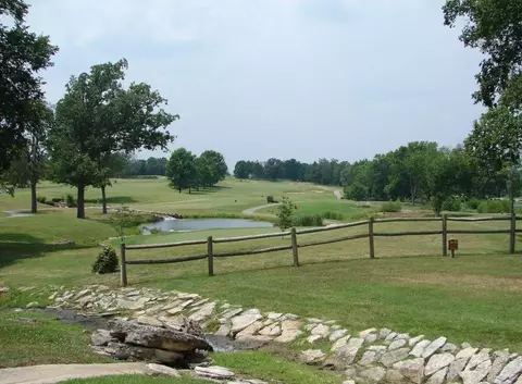 View/Area - 525 Valley View Rd #301, Branson, MO 65616 photo 8 of 9