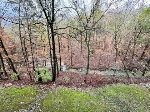 View/Area - 525 Valley View Rd #301, Branson, MO 65616 photo 9 of 9