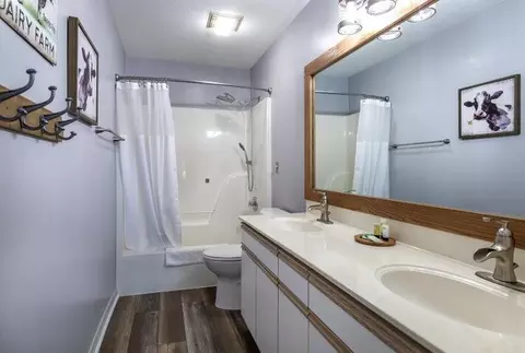 Bath - 525 Valley View Rd #301, Branson, MO 65616 photo 1 of 2