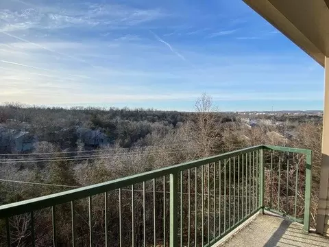 View/Area - 525 Valley View Rd #301, Branson, MO 65616 photo 1 of 9