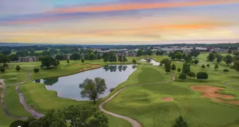 View/Area - 525 Valley View Rd #301, Branson, MO 65616 photo 7 of 9