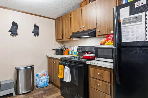 236 Lace Loop, Conway, MO 65632 photo 12